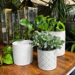 Keramični lonec Vintage 07.101.23 - komplet